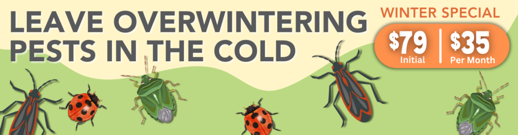 A banner advertising a special for overwintering pest control